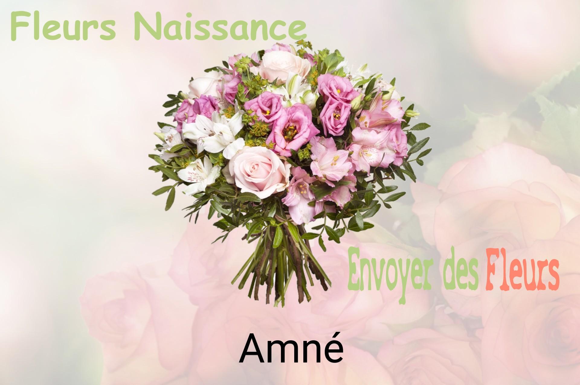 Bouquet de fleurs de naissance livré à Amné
